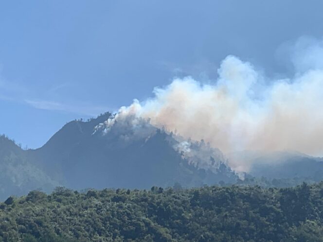 
 Kebakaran Gunung Ebeng-Ebeng TNBTS, Pemadaman Terkendala Medan Sulit