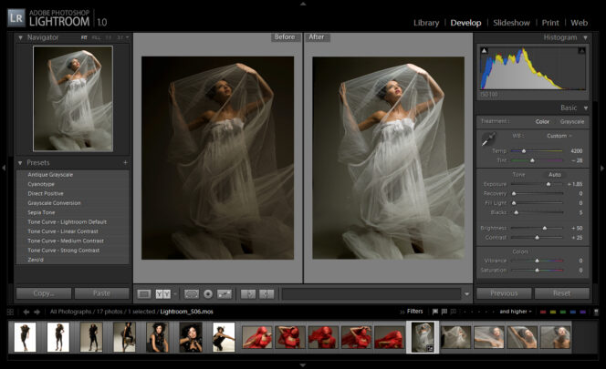 
 Trik Mengedit Foto Prewedding Menggunakan Adobe Lightroom