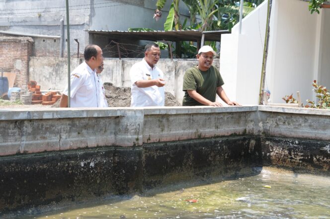 
 Pemkab Kediri Dorong Nilai Jual Lele, Optimalkan Potensi Produsen Lokal