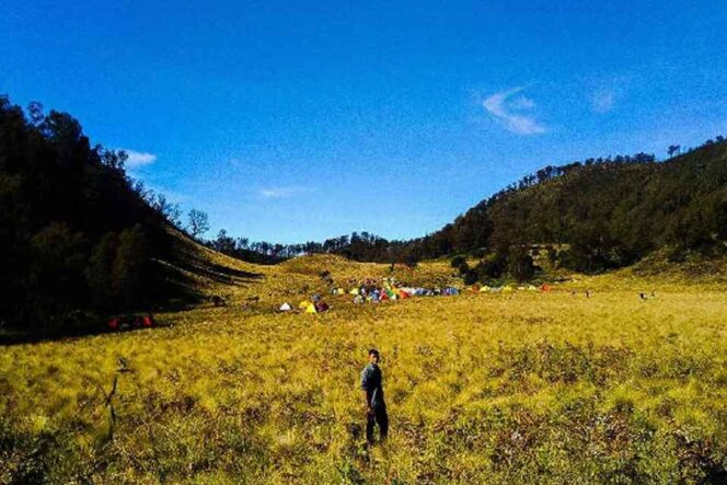 
 Sabana Gunung Buthak, Surga Tersembunyi di Jawa Timur